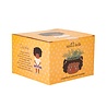 Sass & Belle Sass & Belle - hanging planter - chantelle Sass & Belle Sass & Belle - hanging planter - chantelle