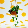 Sass & Belle Sass & Belle - hanging planter - chantelle Sass & Belle Sass & Belle - hanging planter - chantelle
