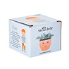 Sass & Belle Sass & Belle - mini planter - ross - plantenpotje met gezicht Sass & Belle Sass & Belle - mini planter - ross - plantenpotje met gezicht