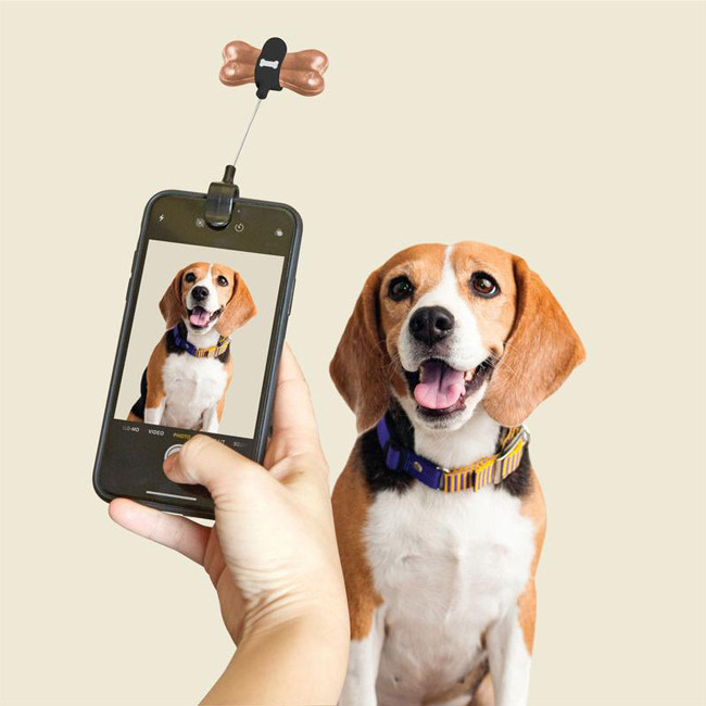 https://cdn.webshopapp.com/shops/254725/files/324538073/dig01-dog-treat-selfie-clip-action-800x800.jpg