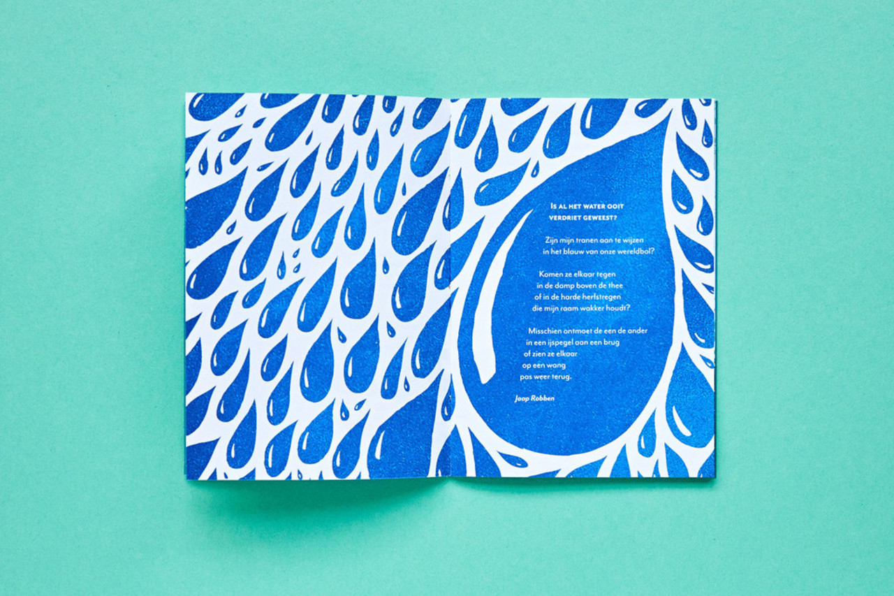 Loopvis Kakkerlakje - jong - hoe kwijt kan iets zijn (nr 06)