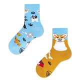 Many mornings Many mornings - sokken kids - playful dog