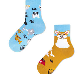 Many mornings Many mornings - sokken kids - playful dog Many mornings Many mornings - sokken kids - playful dog