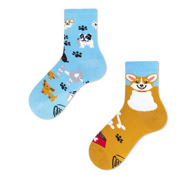 Many mornings Many mornings - sokken kids - playful dog Many mornings Many mornings - sokken kids - playful dog
