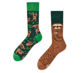 Many mornings Many mornings - sokken - sloth life Many mornings Many mornings - sokken - sloth life