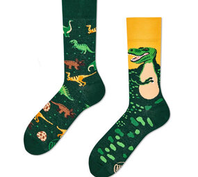 Many mornings Many mornings - sokken - the dinosaurs