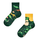 Many mornings Many mornings - sokken kids - the dinosaurs Many mornings Many mornings - sokken kids - the dinosaurs