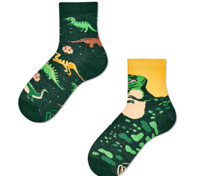 Many mornings Many mornings - sokken kids - the dinosaurs