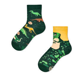 Many mornings Many mornings - sokken kids - the dinosaurs Many mornings Many mornings - sokken kids - the dinosaurs