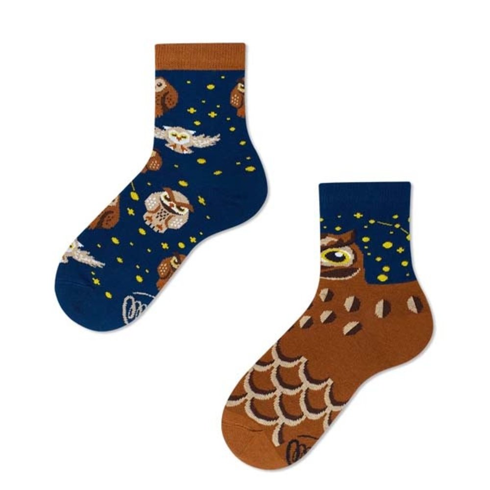 Many mornings Many mornings - sokken kids - owly moly Many mornings Many mornings - sokken kids - owly moly