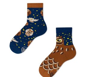 Many mornings Many mornings - sokken kids - owly moly