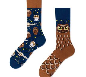 Many mornings Many mornings - sokken - owly moly