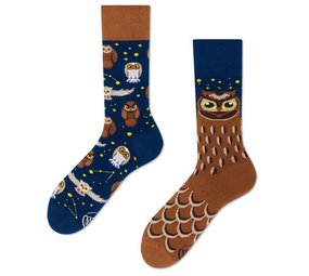 Many mornings Many mornings - sokken - owly moly Many mornings Many mornings - sokken - owly moly
