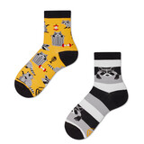 Many mornings Many mornings - sokken kids - raccoon bandit