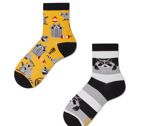 Many mornings Many mornings - sokken kids - raccoon bandit