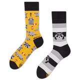 Many mornings Many mornings - sokken - raccoon bandit