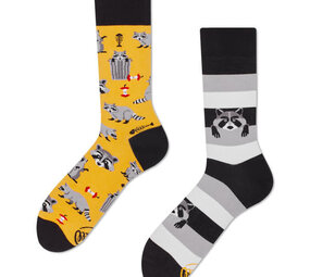 Many mornings Many mornings - sokken - raccoon bandit