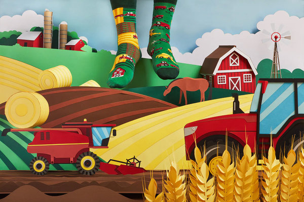 Many mornings Many mornings - sokken - happy harvest Many mornings Many mornings - sokken - happy harvest