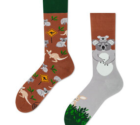 Many mornings Many mornings - sokken - koality time