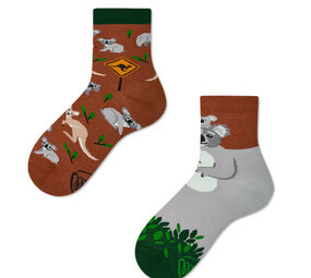 Many mornings Many mornings - sokken kids - koality time