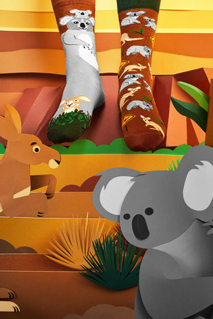 Many mornings Many mornings - sokken - koality time Many mornings Many mornings - sokken - koality time