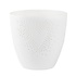 Rader - poetry light - heart big Rader - poetry light - heart big