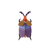 Studio Roof Studio Roof - muurdecoratie - queen beetle Studio Roof Studio Roof - muurdecoratie - queen beetle