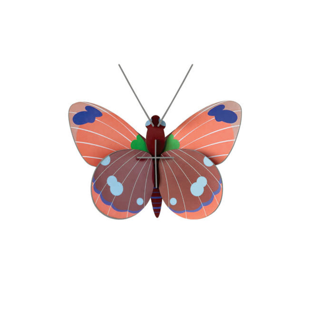 Studio Roof Studio Roof - muurdecoratie - delias butterfly