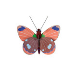 Studio Roof Studio Roof - muurdecoratie - delias butterfly