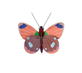 Studio Roof Studio Roof - muurdecoratie - delias butterfly