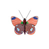 Studio Roof Studio Roof - muurdecoratie - delias butterfly