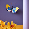 Studio Roof Studio Roof - muurdecoratie - yellow monarch butterfly Studio Roof Studio Roof - muurdecoratie - yellow monarch butterfly