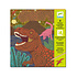 Djeco - kraskaarten metallic - dinosauriërs Djeco - kraskaarten metallic - dinosauriërs
