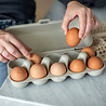 Koziol Koziol - eggs to go eierdoos - bio beige Koziol Koziol - eggs to go eierdoos - bio beige