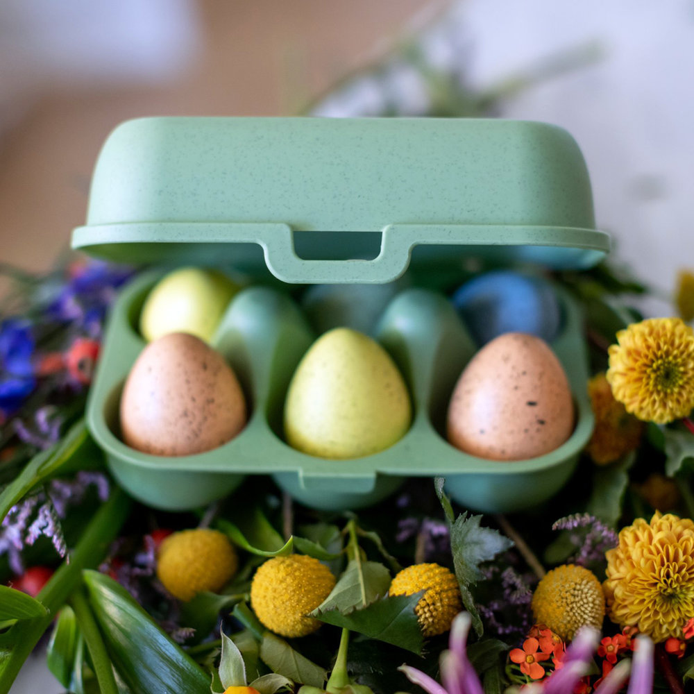 Koziol Koziol - eggs to go eierdoos mini - bio leaf green Koziol Koziol - eggs to go eierdoos mini - bio leaf green