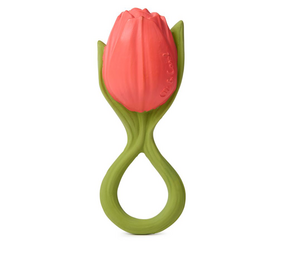 Oli & Carol Oli & Carol - bijtspeeltje - theo tulp