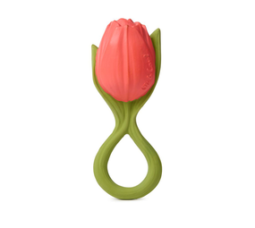 Oli & Carol Oli & Carol - bijtspeeltje - theo tulp Oli & Carol Oli & Carol - bijtspeeltje - theo tulp