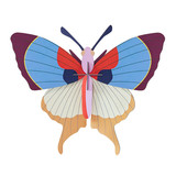 Studio Roof Studio Roof - muurdecoratie - plum fringe butterfly Studio Roof Studio Roof - muurdecoratie - plum fringe butterfly