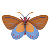 Studio Roof Studio Roof - muurdecoratie - ochre costa butterfly Studio Roof Studio Roof - muurdecoratie - ochre costa butterfly