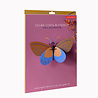 Studio Roof Studio Roof - muurdecoratie - ochre costa butterfly Studio Roof Studio Roof - muurdecoratie - ochre costa butterfly