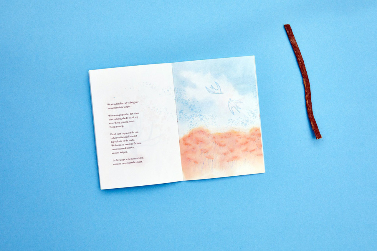 Loopvis Kakkerlakje - literatuur - voor altijd (nummer 25) Loopvis Kakkerlakje - literatuur - voor altijd (nummer 25)