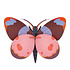 Studio Roof - muurdecoratie - bellissima butterfly Studio Roof - muurdecoratie - bellissima butterfly