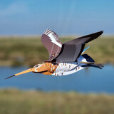 Piet Design Piet design - vouwkaart - grutto