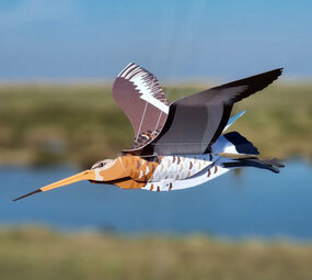 Piet Design Piet design - vouwkaart - grutto