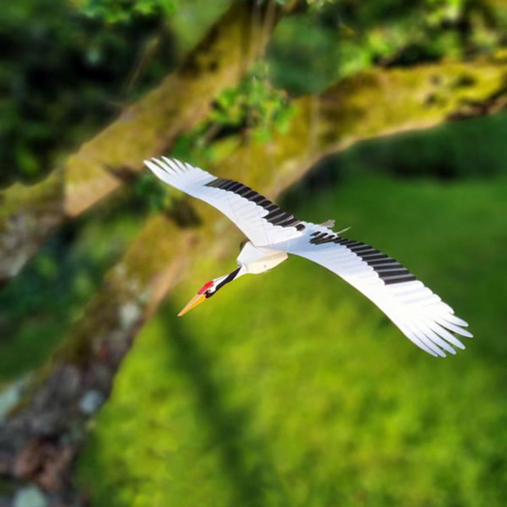 Piet Design Piet design - vouwkaart - kraanvogel Piet Design Piet design - vouwkaart - kraanvogel