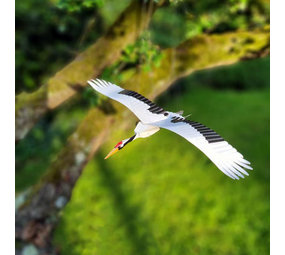 Piet Design Piet design - vouwkaart - kraanvogel Piet Design Piet design - vouwkaart - kraanvogel