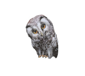 Sticky Tales Sticky Tales - muursticker - oehoe de uil Sticky Tales Sticky Tales - muursticker - oehoe de uil