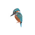 Sticky Tales - muursticker - ijsvogel Sticky Tales - muursticker - ijsvogel