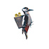 Sticky Tales - muursticker - specht Sticky Tales - muursticker - specht