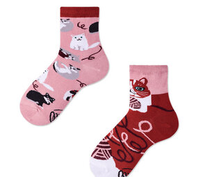 Many mornings Many mornings - sokken kids - playful cat